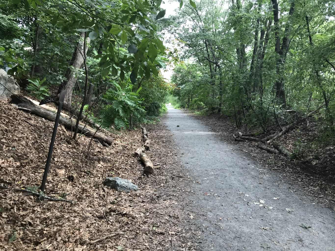 15 Best Things to Do in Newton (MA) The Crazy Tourist