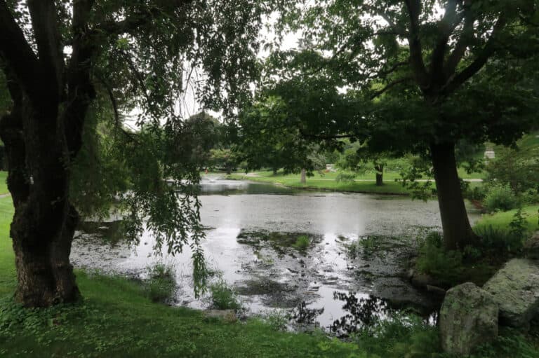 15 Best Things to Do in Newton (MA) The Crazy Tourist