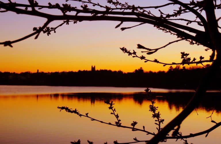 15 Best Things to Do in Newton (MA) The Crazy Tourist