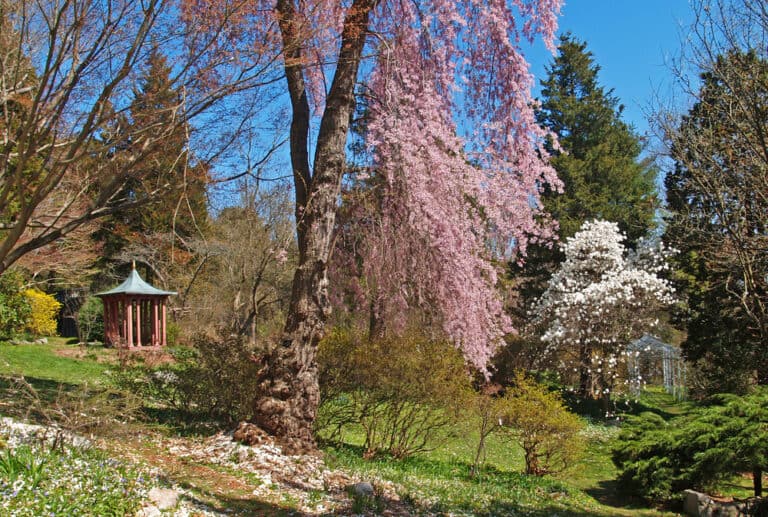 15 Best Things to Do in Beverly (MA) The Crazy Tourist