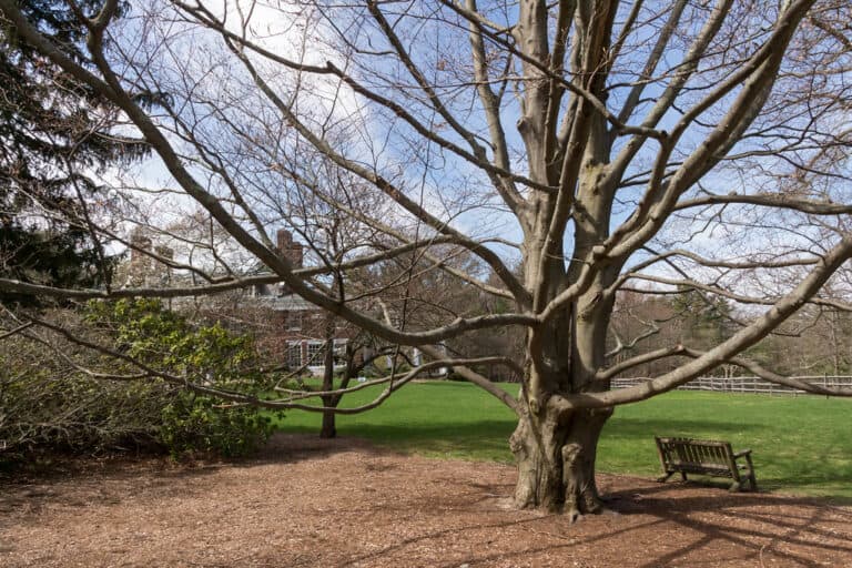 15 Best Things to Do in Canton (MA) The Crazy Tourist