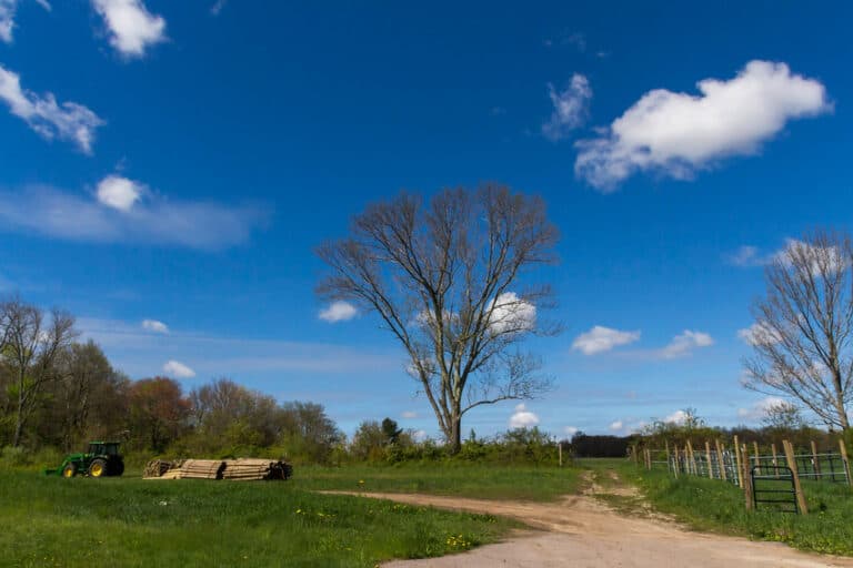 15 BEST THINGS TO DO IN WALPOLE MA visual data 8