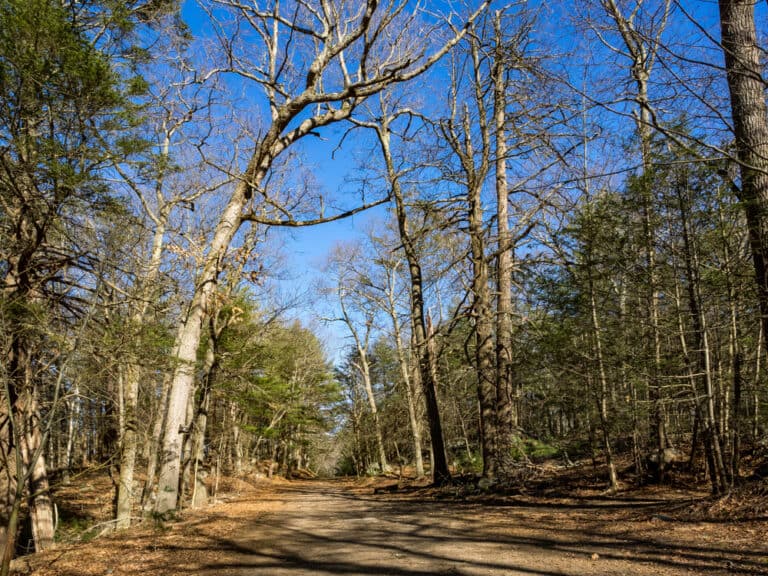 15 Best Things to Do in Saugus (MA) The Crazy Tourist