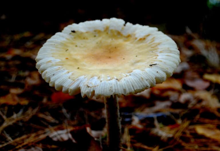 15 Best Things to Do in Easton (MA) The Crazy Tourist