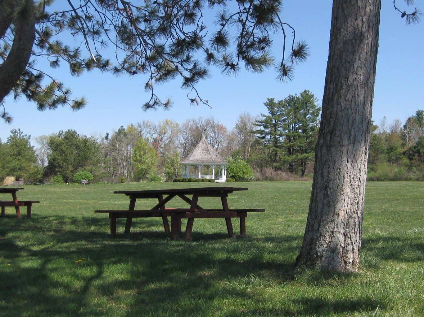 15 Wilbraham最好的事情要做(MA)——疯狂的旅游bdsports官网中国有限公司最新bd体育平台资讯和体育赛事直播半岛sport