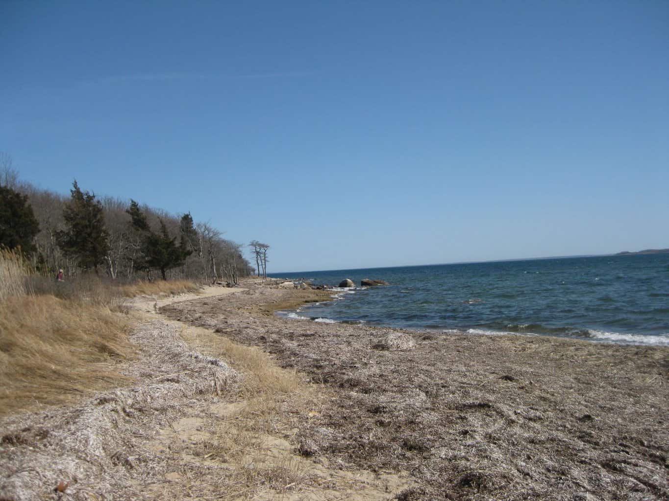 15 Best Things to Do in Fairhaven (MA) The Crazy Tourist