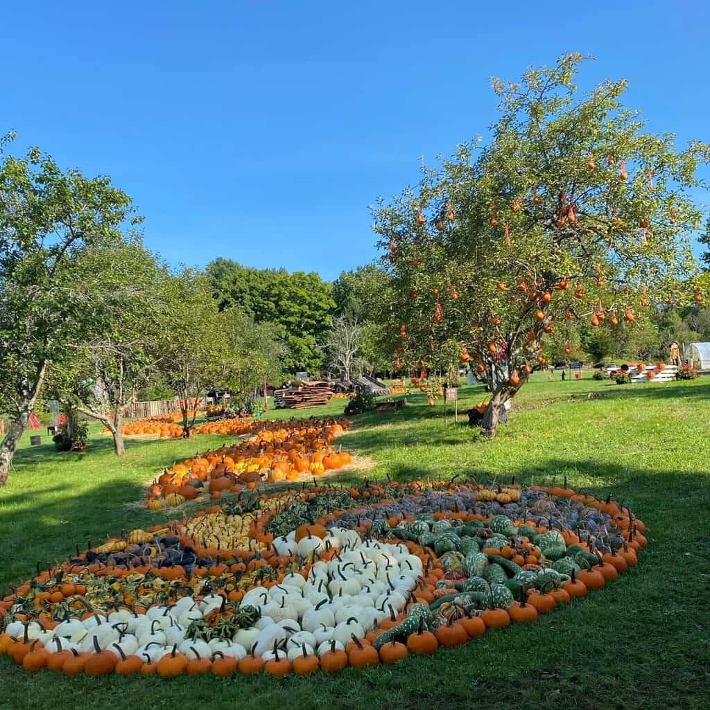 15 Best Things to Do in Spencer (MA) The Crazy Tourist