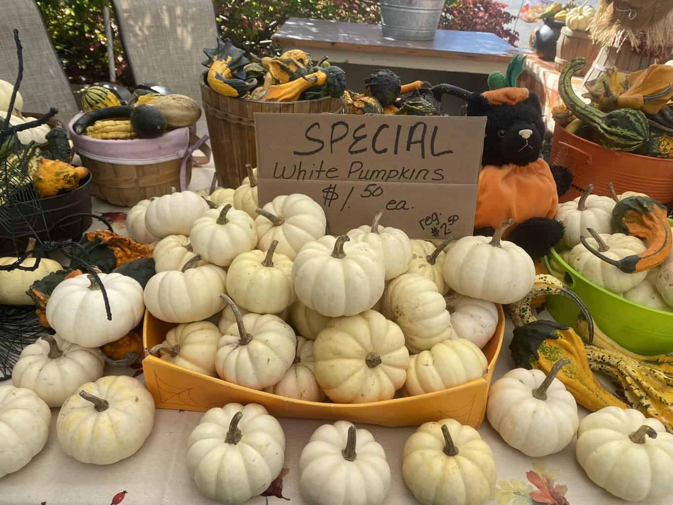 15 Best Things to Do in (MA) The Crazy Tourist