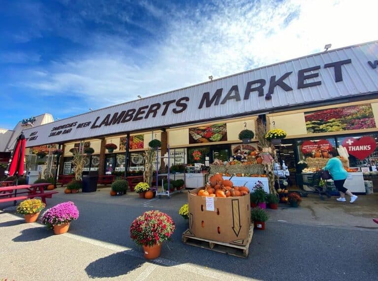 15 Best Things to Do in Westwood (MA) The Crazy Tourist